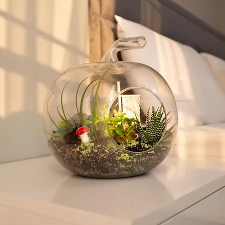 ホテル Tiyatro Oldcity イスタンブール